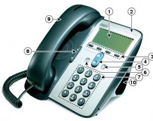 7911.jpg