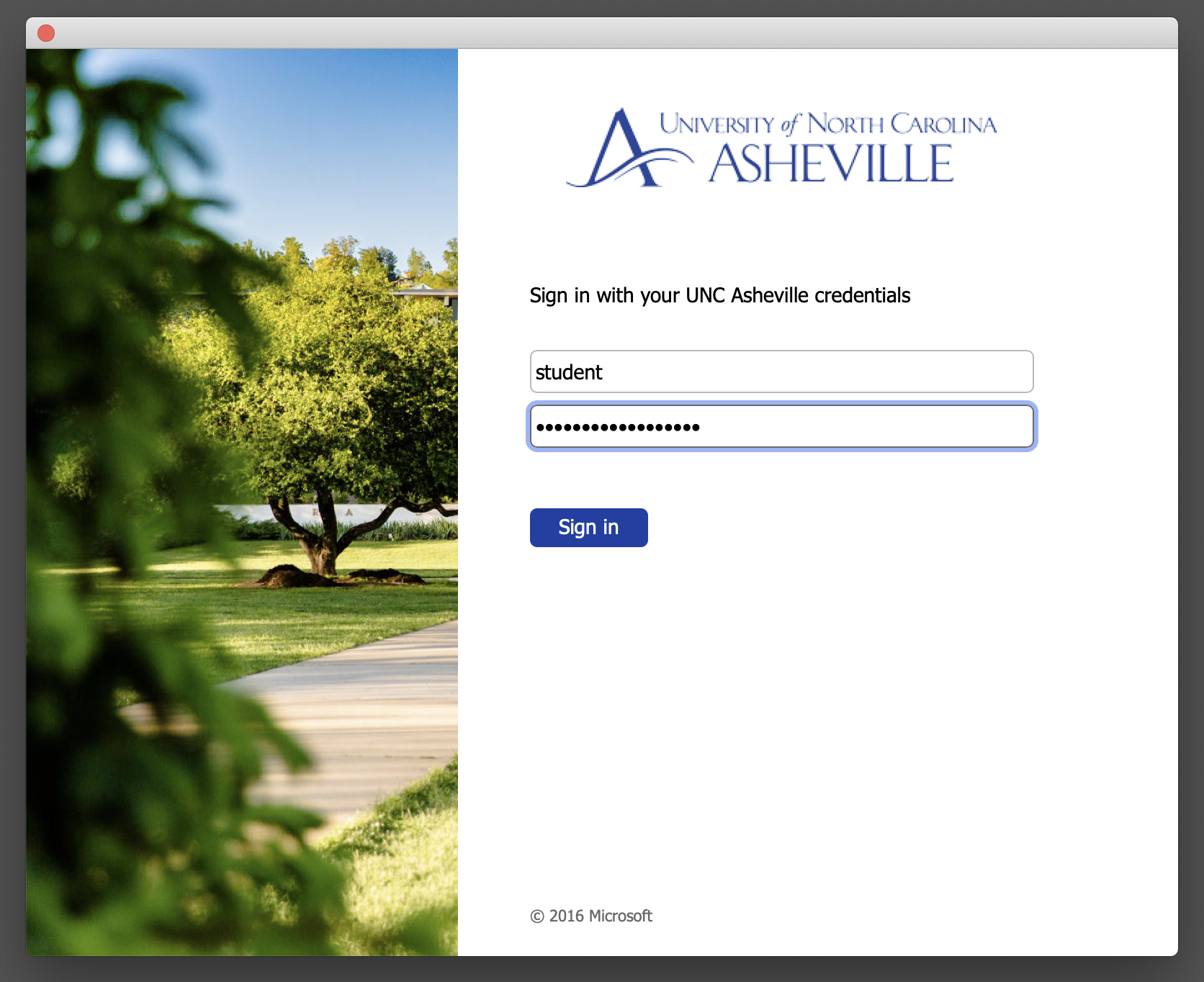 Screen Shot 2019-08-09 at 10.24.50 AM.png